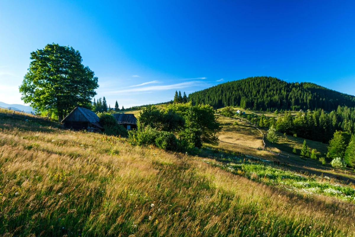 : Zdrowe przyzwyczajenia - klucz do dbania o swoje zdrowie i dobre samopoczucie