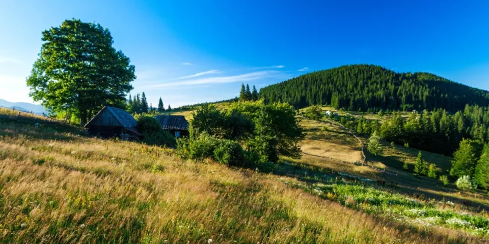 Zadbaj o zdrowie: Kluczowe kroki do lepszego samopoczucia!